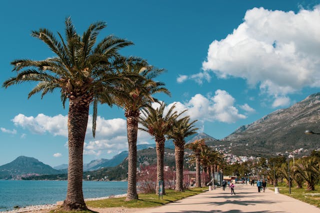 Montenegro Mountains